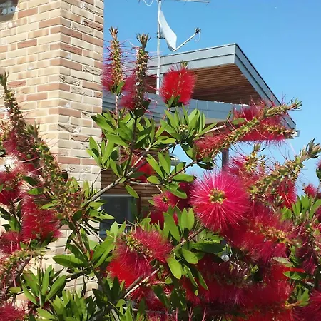 Lägenhet Borsacchio - Colle Magnone Roseto Degli Abruzzi