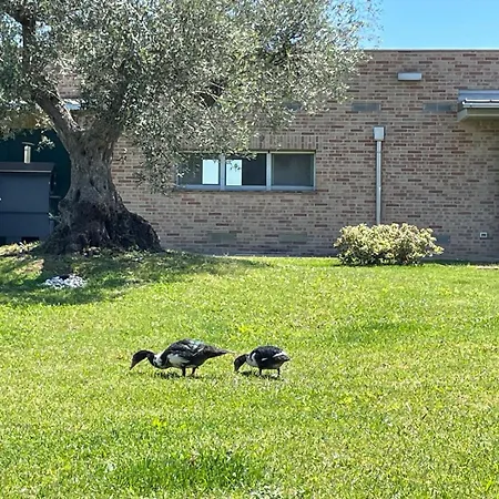 Borsacchio - Colle Magnone Roseto Degli Abruzzi