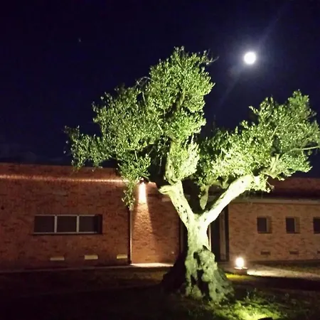 Apartment Borsacchio - Colle Magnone *