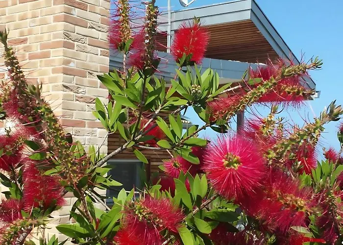 Apartamento Borsacchio - Colle Magnone Roseto Degli Abruzzi