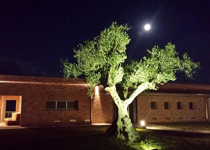 Apartamento Borsacchio - Colle Magnone *