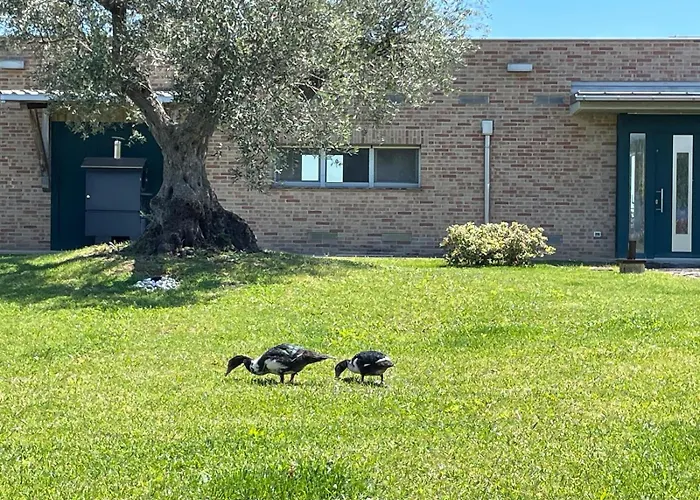 Borsacchio - Colle Magnone Roseto Degli Abruzzi